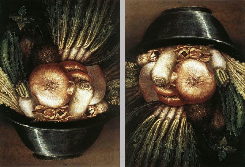 ARCIMBOLDO, Giuseppe Vegetables in a Bowl or The Gardener  dggh